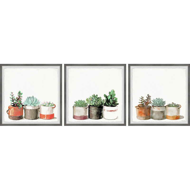 A Cup of Cactus par Marmont Hill - Ensemble de 3 cadres photo, H 32 po x l 32 po