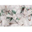 Christmas Floral Bib Apron