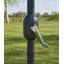 Quiana 250cm Market Parasol-36212590