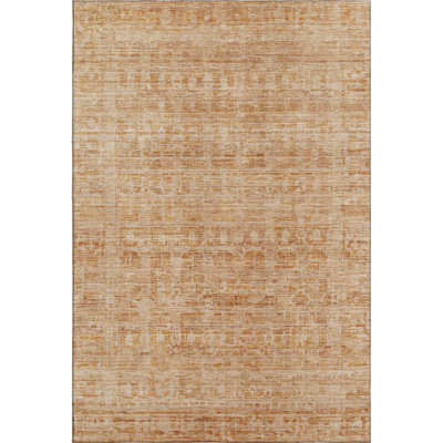 Premium Machine Washable Verlin AMF1775 Border Rug