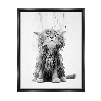 " Kitten Bathroom Splash "