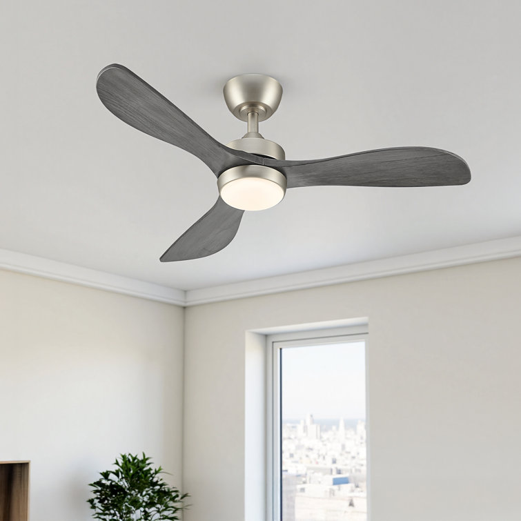 42" 3 - Blade Small Room Ceiling Fan with LED Light and Remote
