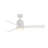 All-Weather Pylon 48 inch Indoor/Outdoor Ceiling Fan with LED Light Kit-1512471059