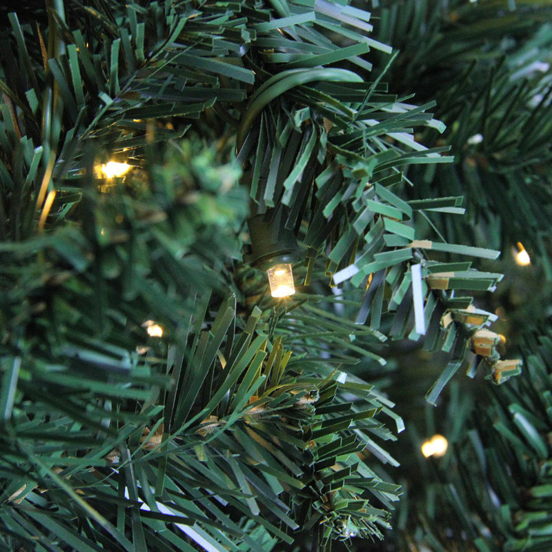 9.5' Pre-Lit Full Buffalo Fir Artificial Christmas Tree - Clear Lights