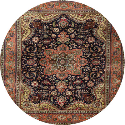 Catelaya Oriental Indoor Rug