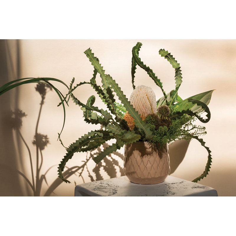 Everest Ceramic Pot Planter