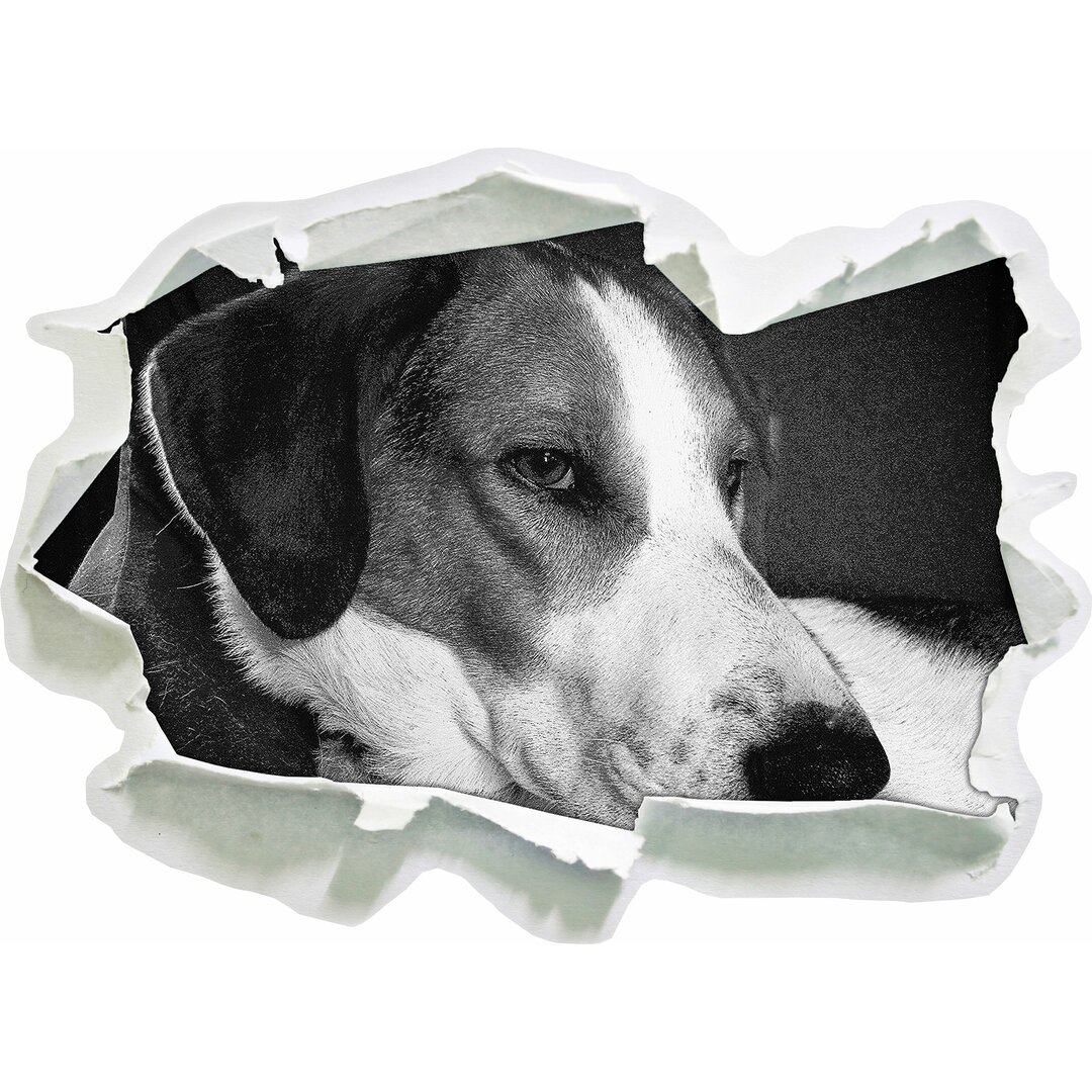 Wandtattoo Jack Russel Terrier ruht sich aus