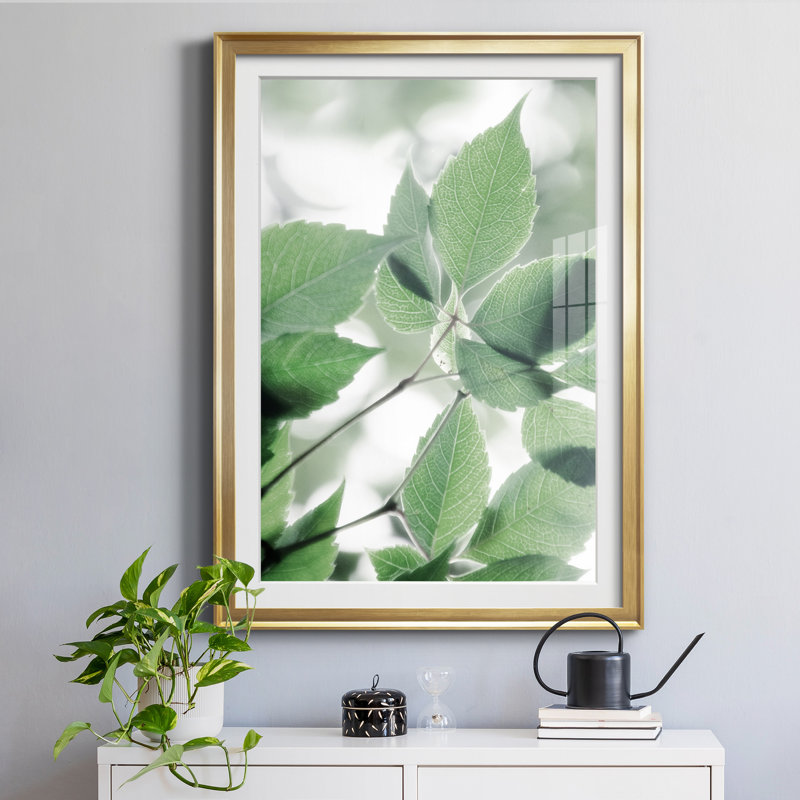 «Fields of Green I» par Irene Weisz - reproduction de photo sur papier encadrée, H 22,5 po x l 30,5 po x P 1,5 po
