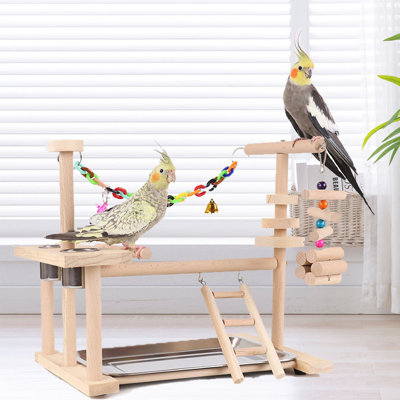 13,5 oiseaux