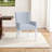 Lana Acrylic Armchair Dining Chair