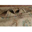 Tapis turc Oushak 7 x 10