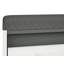 Azaneth 4 Pair Shoe Storage Cabinet