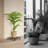 Plant Tray