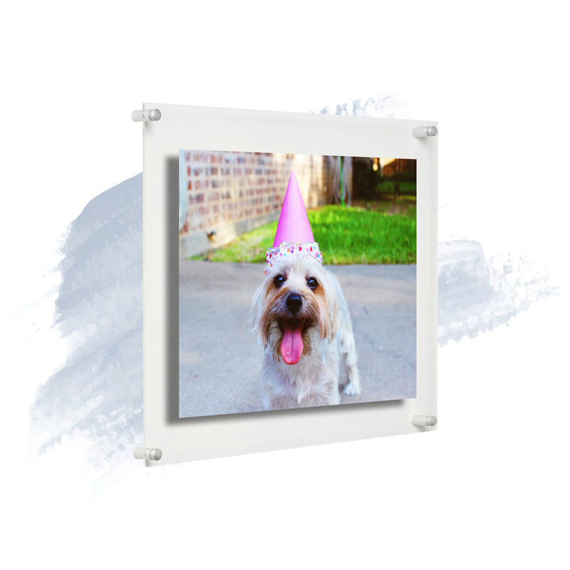 Devian Clear Acrylic Floating Picture Frame, 16" x 20", Silver
