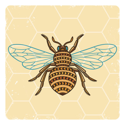 Abeille par Bel_Ka
