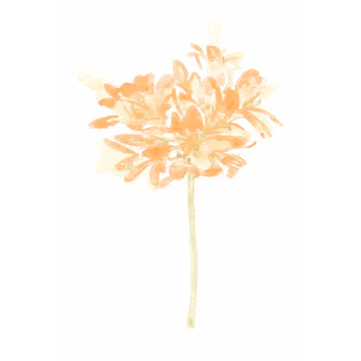 Bouquet Blush VI by June Erica Vess - Wrapped Canvas Painting