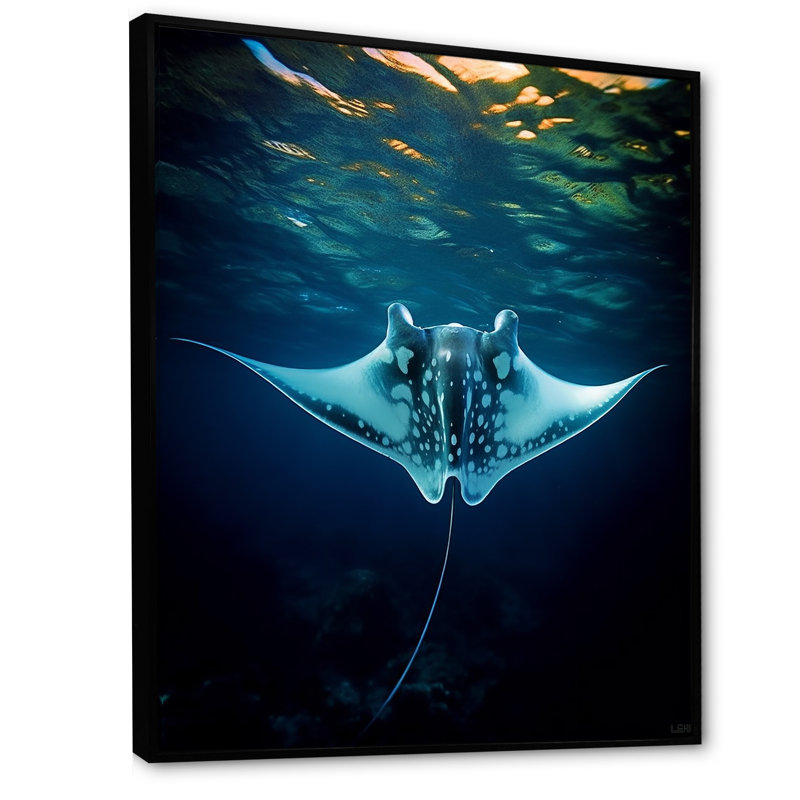 Manta géant bleu océanique - reproduction d'art mural plage et océan, Cadre flottant noir, H 32 po x l 24 po x P 1 po