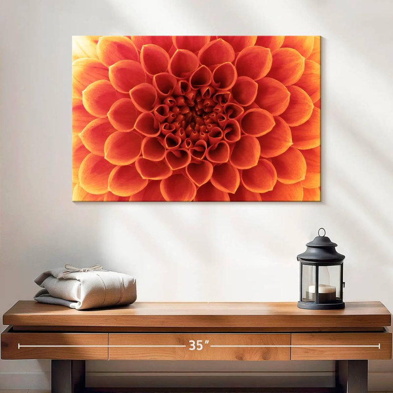 Dahlia orange Harnek, H 16 po x l 24 po