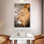 Brampt le lion et le papillon-108381217