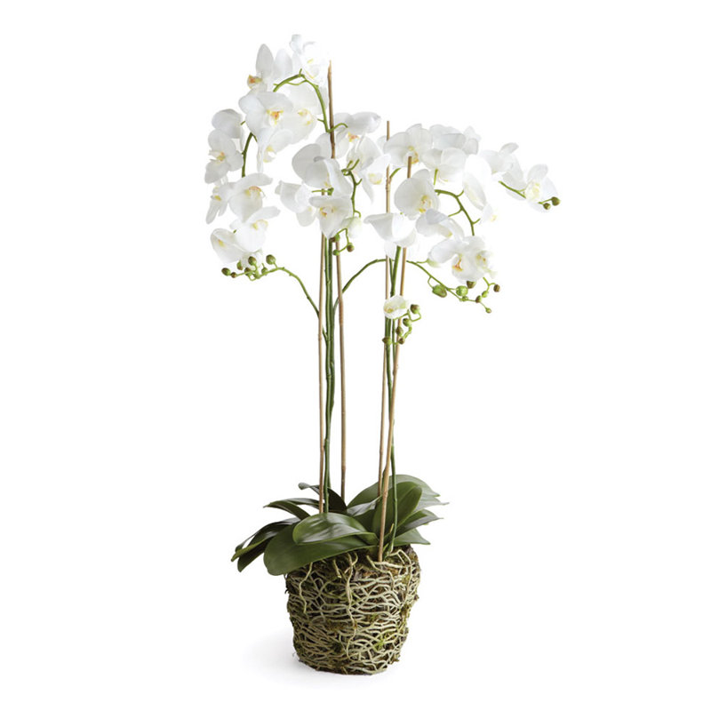 Conservatory Faux Orchid Plant