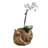 Derwin Statue Planter-691139011-691139020