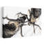 «Winter Deer», art mural contemporain abstrait-124622725