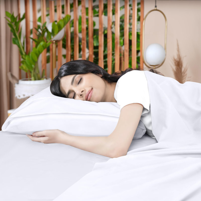 Pack Of 6 - Soft Brushed Microfiber Fabric - Shrinkage & Fade Resistant Top Sheets - Easy Care (Queen, White)
