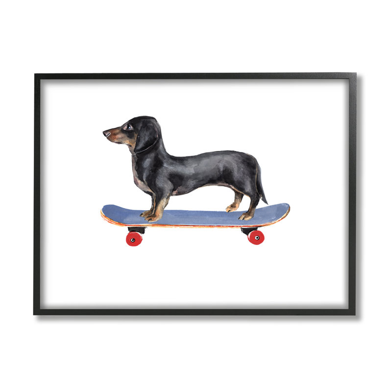 «Dachshund Dog Skateboarding cmw-032», art mural personnalisé, H 16 po x l 20 po, Giclée encadrée noir minuit, Oui