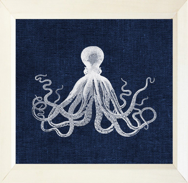 «Octopus on Navy», impression encadrée, H 12 po x l 12 po x P 1 po