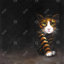 Chat discret, reproduction sur toile-101320401-27975150