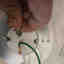 Customer photo 1 of 2