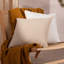 Lexxy Lark Square Scatter Pillow Cover-861073105