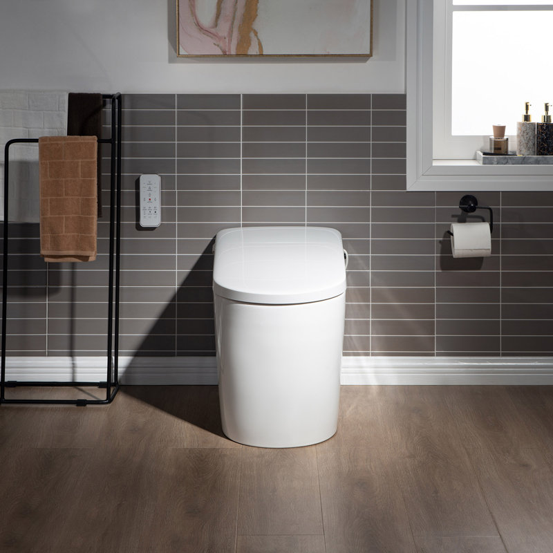 White Elongated One-Piece Smart Bidet Toilet with Dual Flush