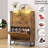 2 Drawer Industrial Shoe Cabinet,Open Storage Shelf,Rustic Brown