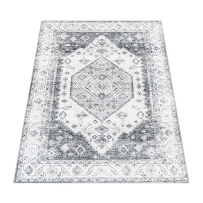 Allardt Oriental Area Rug