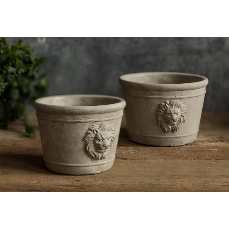 Lynda Pot Planter, 5.13" H x 7" W x 7" D