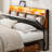 Ivy Bronx Hidden Storage Headboard With Charging Station, Ergonomic Upholstered Faux Leather Headboard Only With Led Lights, 2 Outlets & 2 Usb Ports, Attach Frame, Easy Assembly, Black-233717744