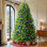 Fir Christmas Tree