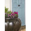 Maymie Fiberglass Planter