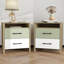 Table de chevet 2 tiroirs 22,7 po Pruitt-1293806226-1293806189