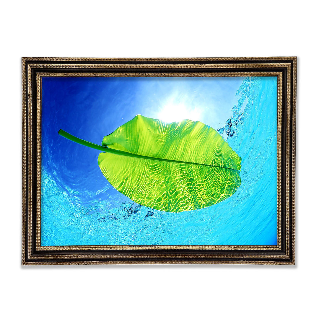 Blue Waters Of A Green Leaf Gerahmter Druck Wandkunst