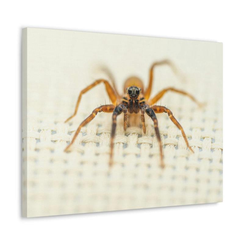 No Frame Print on Canvas, 30.48cm H x 40.64cm W