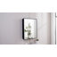 Armoire à pharmacie encastrée / à fixation en surface avec miroir en fer et l 24 po x H 30 po Elise-1039772037-1036898615