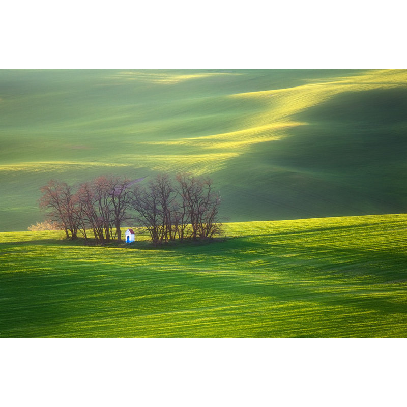 Wrapped Canvas Print, 60.96 cm H x 91.44 cm W