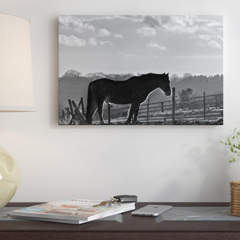 « soirée light iii », reproduction de photo sur toile, Papier beaux-arts encadré noir, H 16 po x l 24 po x P 1 po, Blanc