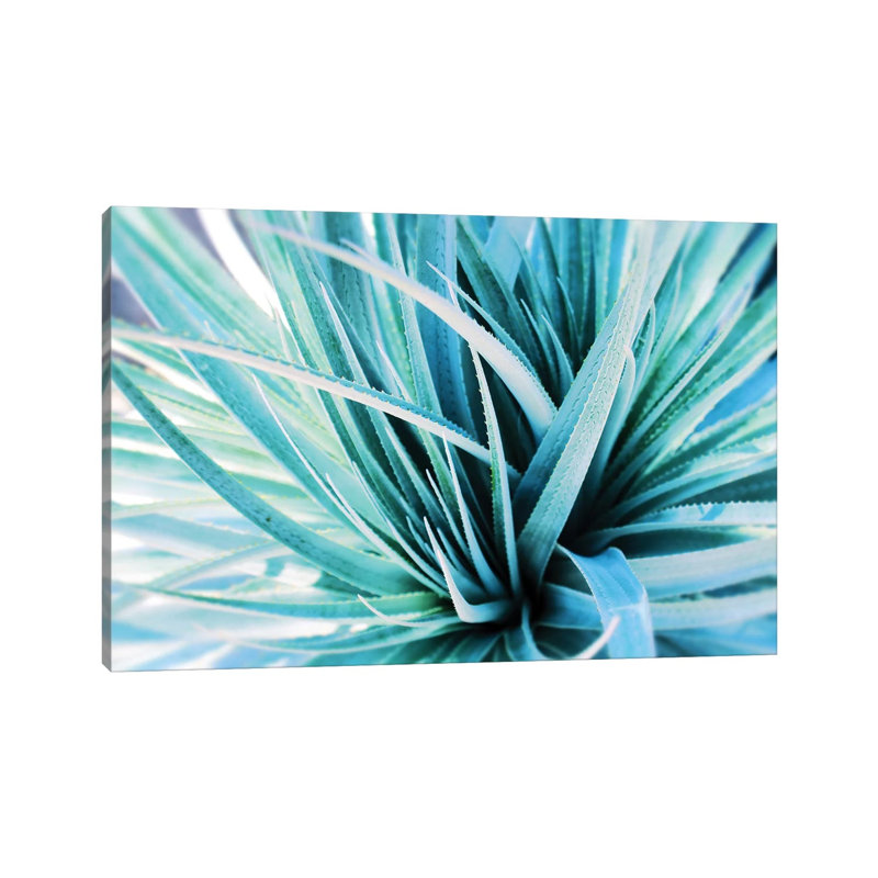 Fresh Incense I by Irena Orlov - 1 Piece Wrapped Canvas Wall Art, 20.32 cm H x 30.48 cm W