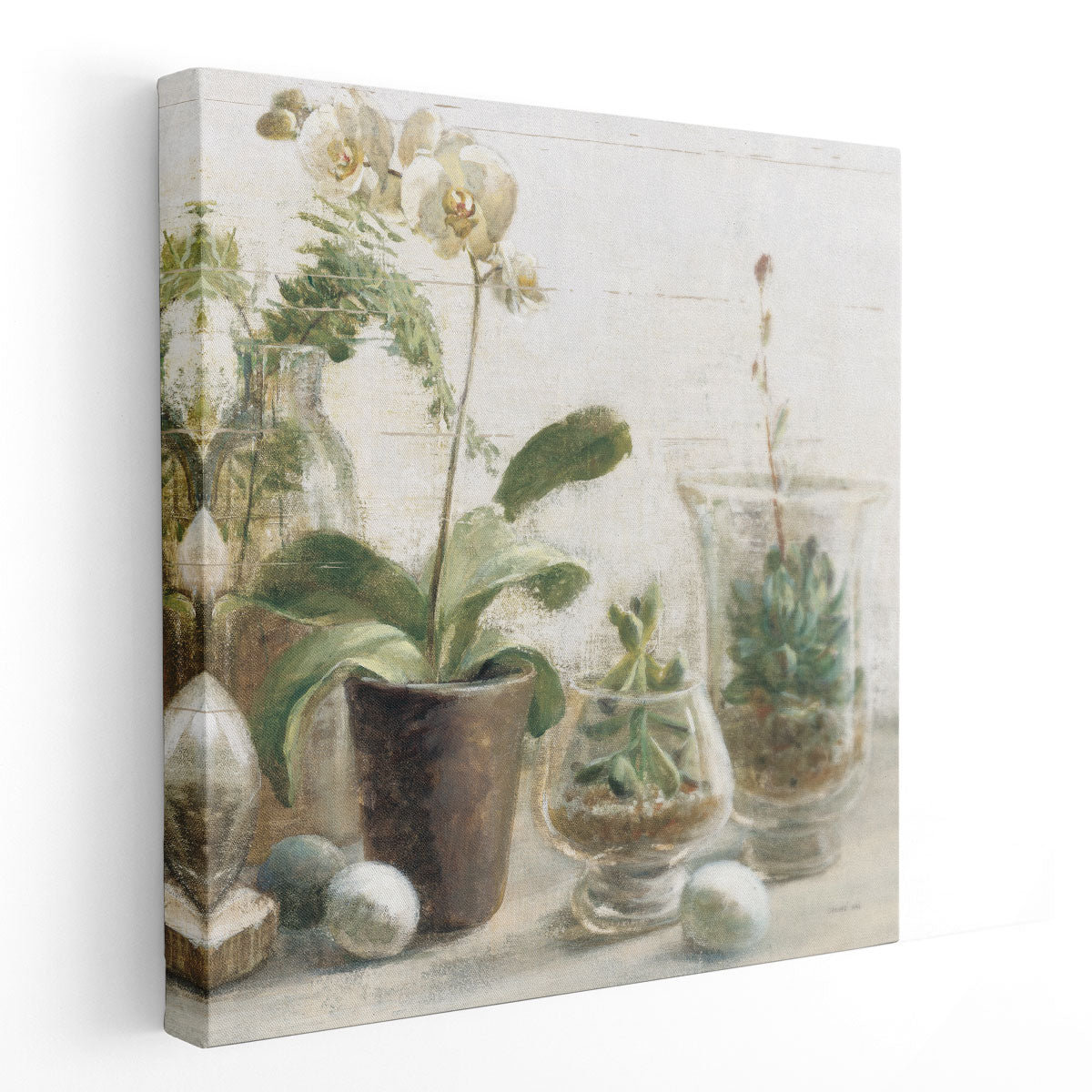 Red Barrel Studio® Greenhouse Orchids on Shiplap III - Canvas Print ...