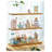Roverto Plastic Decorative Box