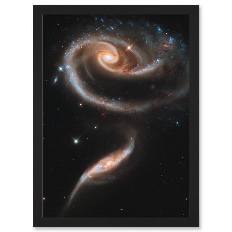 Hubble Rose Made Galaxies UGC 181 - Print