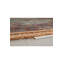 Raz Oriental Area Rug-72595100